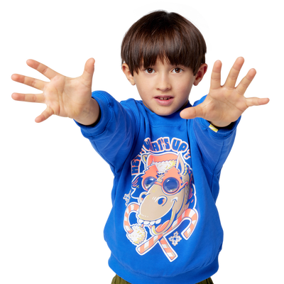 Sweat de Noël BILLIEBLUSH GARCON