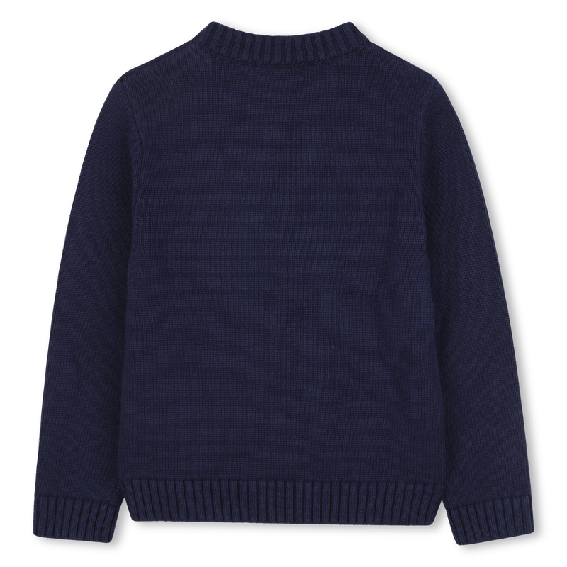 Pull en tricot BILLIEBLUSH 
                        GARCON