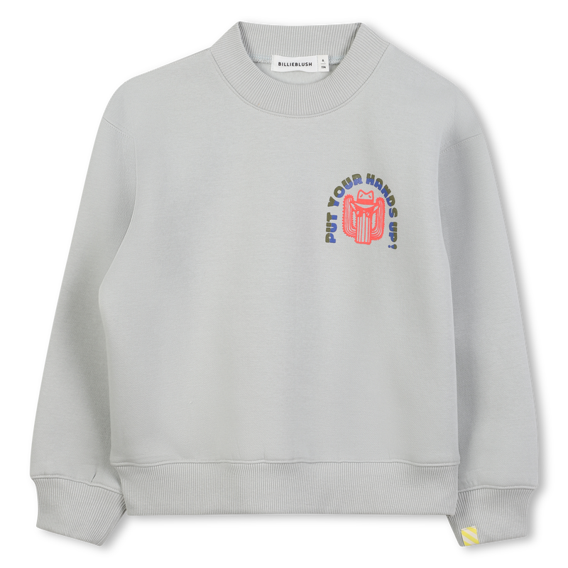 Sweat en molleton BILLIEBLUSH 
                    GARCON