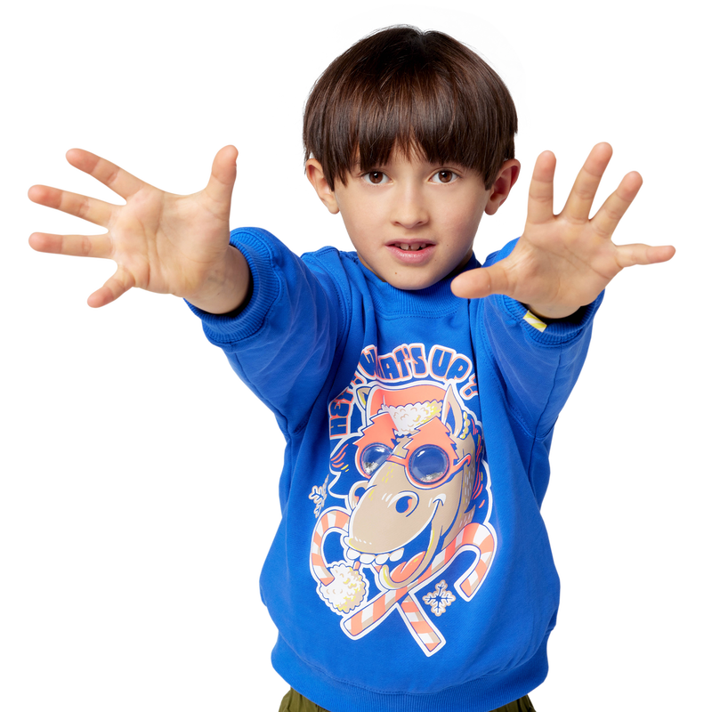 Sweat de No&euml;l BILLIEBLUSH 
                        GARCON