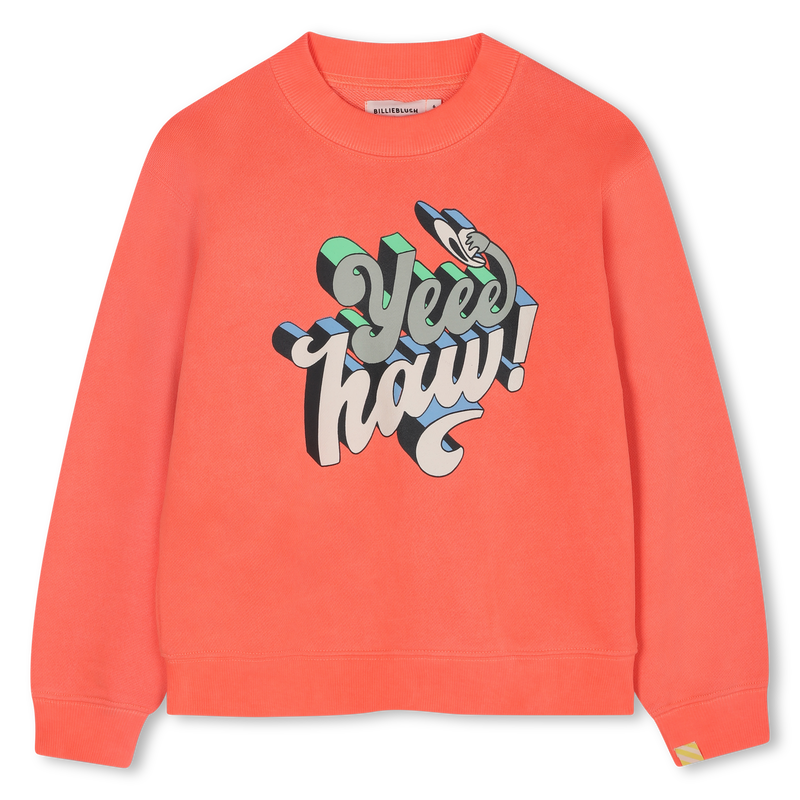 Sweat en molleton BILLIEBLUSH 
                    GARCON