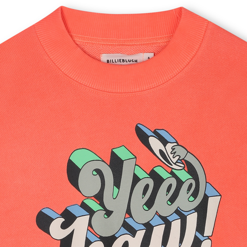 Sweat en molleton BILLIEBLUSH 
                    GARCON